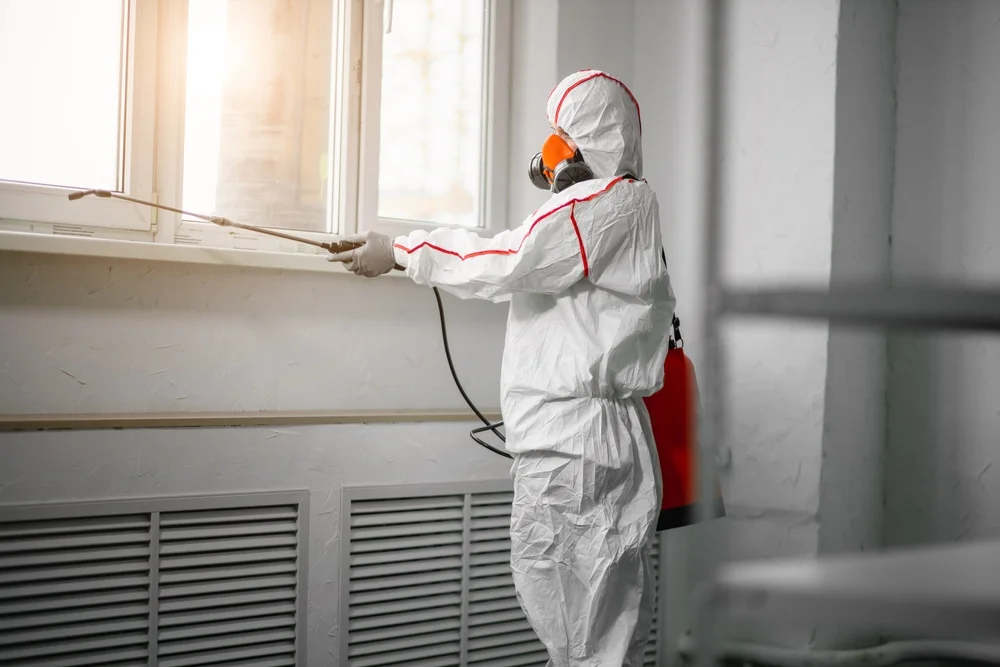 Professional mold remediation services in Rio Medina, TX